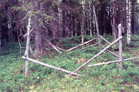 Kedrovy shor, former burial ground (2000)