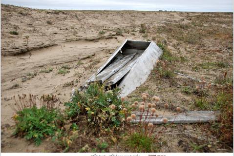 Фотография 2008 года. Фотограф Г. Алекна